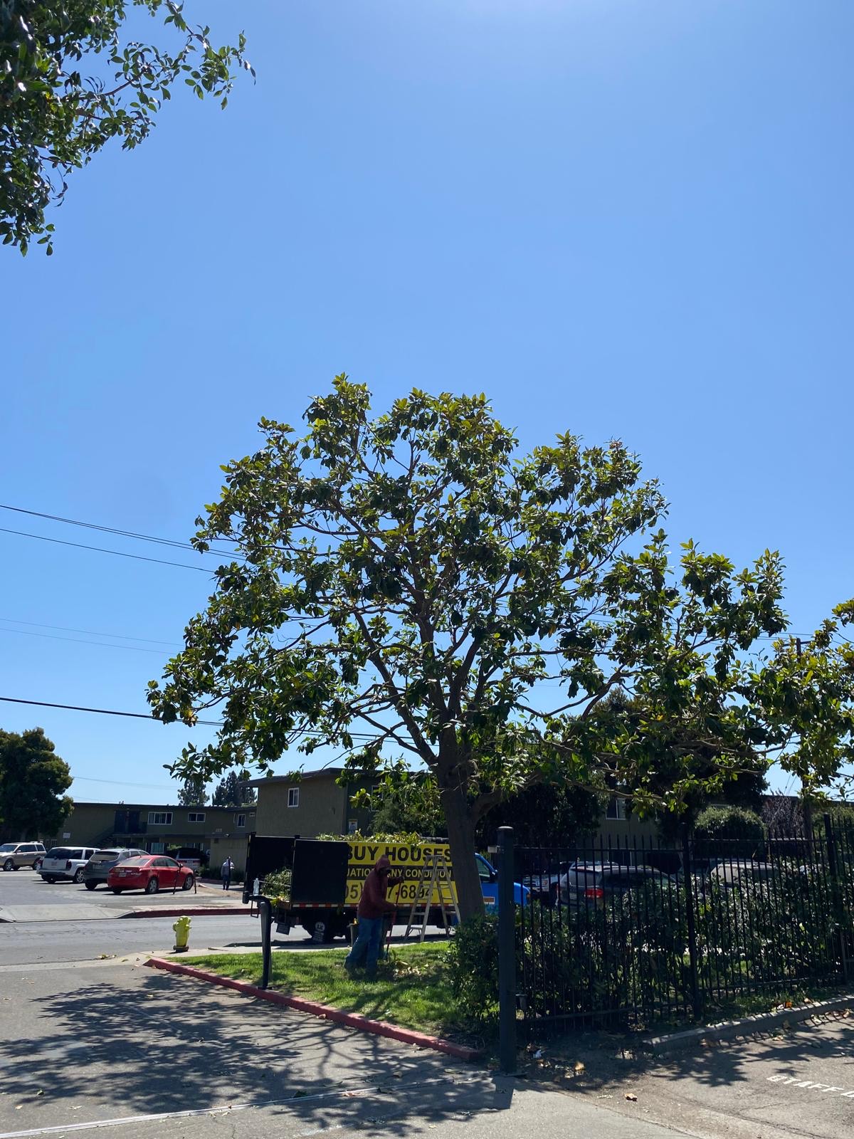 image_123650291(4)